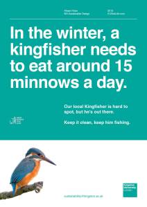 The Kingfisher